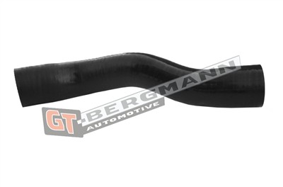 GT BERGMANN GT52-377 EAN: 5907764519777.