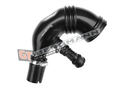 GT BERGMANN GT52-393 EAN: 5907764519937.