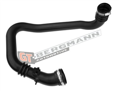 GT BERGMANN GT52-398 EAN: 5907764519999.