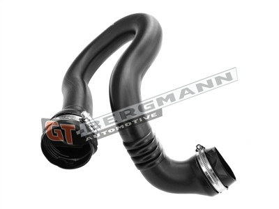 GT BERGMANN GT52-399 EAN: 5907764520001.