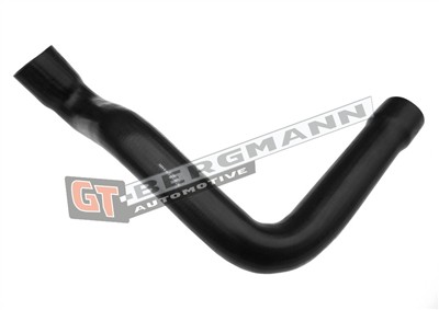 GT BERGMANN GT52-418 EAN: 5907764520193.