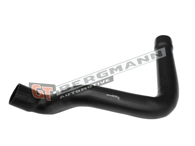 GT BERGMANN GT52-418 EAN: 5907764520193.