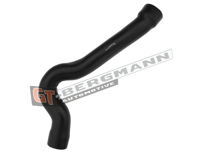 GT BERGMANN GT52-419 EAN: 5907764520209.