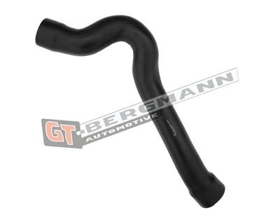 GT BERGMANN GT52-419 EAN: 5907764520209.