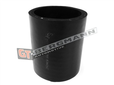 GT BERGMANN GT52-420 EAN: 5907764520216.