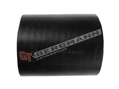 GT BERGMANN GT52-420 EAN: 5907764520216.