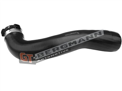 GT BERGMANN GT52-432 EAN: 5907764523743.