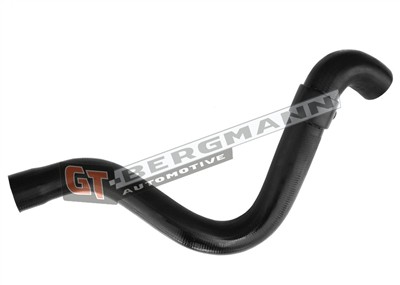 GT BERGMANN GT52-433 EAN: 5907764523750.