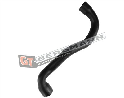 GT BERGMANN GT52-435 EAN: 5907764523774.