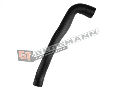 GT BERGMANN GT52-438 EAN: 5907764523804.
