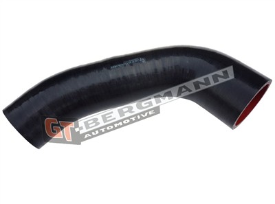 GT BERGMANN GT52-445 EAN: 5907764523873.