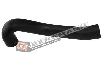 GT BERGMANN GT52-448 EAN: 5907764523903.