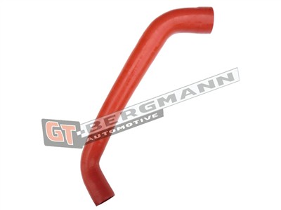 GT BERGMANN GT52-449 EAN: 5907764523910.