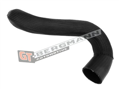 GT BERGMANN GT52-451 EAN: 5907764523934.