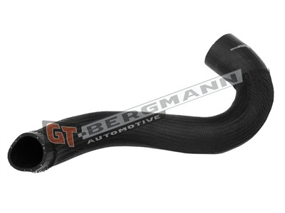 GT BERGMANN GT52-451 EAN: 5907764523934.
