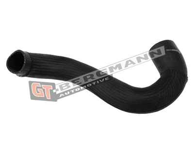 GT BERGMANN GT52-451 EAN: 5907764523934.
