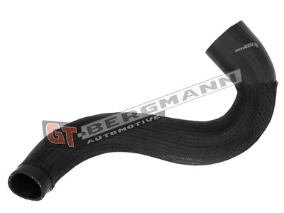 GT BERGMANN GT52-451 EAN: 5907764523934.