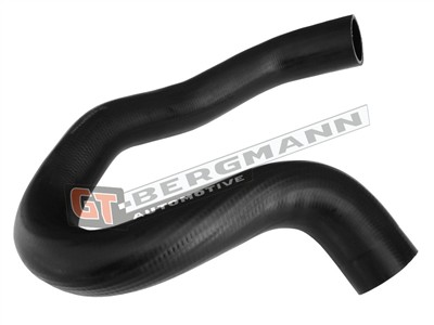 GT BERGMANN GT52-453 EAN: 5907764523958.