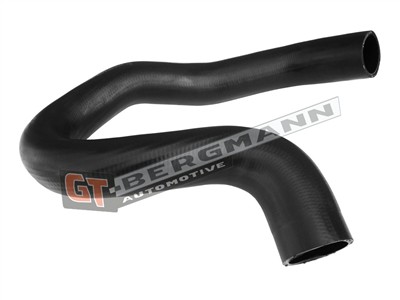 GT BERGMANN GT52-453 EAN: 5907764523958.