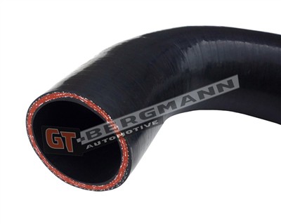 GT BERGMANN GT52-454 EAN: 5907764523965.