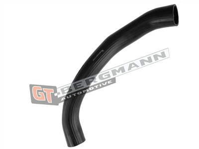 GT BERGMANN GT52-455 EAN: 5907764523972.