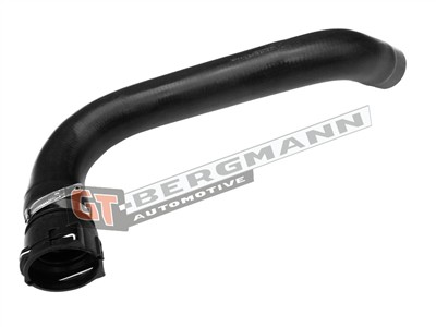 GT BERGMANN GT52-480 EAN: 5907764524238.
