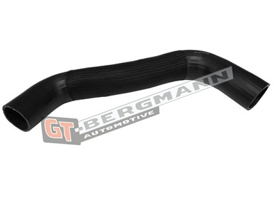 GT BERGMANN GT52-484 EAN: 5907764524443.