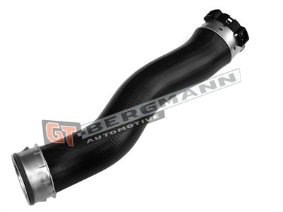 GT BERGMANN GT52-485 EAN: 5907764524474.