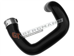 GT BERGMANN GT52-494