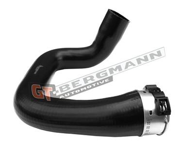 GT BERGMANN GT52-494 EAN: 5907764524573.