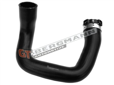 GT BERGMANN GT52-494 EAN: 5907764524573.