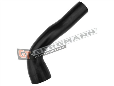 GT BERGMANN GT52-499 EAN: 5907764524627.