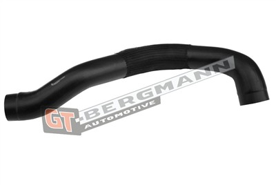 GT BERGMANN GT52-502 EAN: 5907764524658.