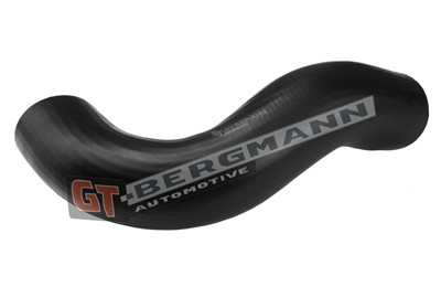 GT BERGMANN GT52-510 EAN: 5907764524733.