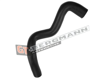 GT BERGMANN GT52-512 EAN: 5907764524757.