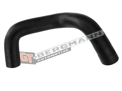 GT BERGMANN GT52-517 EAN: 5907764524825.