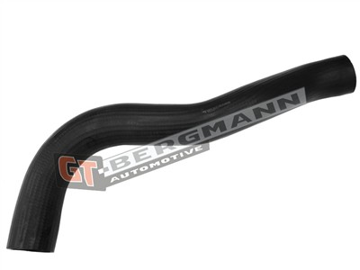 GT BERGMANN GT52-524 EAN: 5907764524894.
