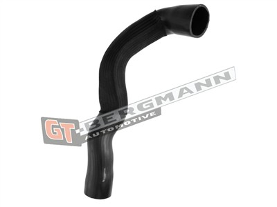 GT BERGMANN GT52-530 EAN: 5907764524955.