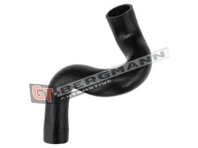 GT BERGMANN GT52-532 EAN: 5907764524979.