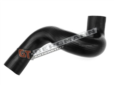 GT BERGMANN GT52-532 EAN: 5907764524979.