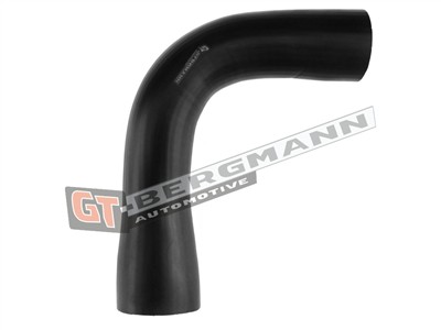 GT BERGMANN GT52-533 EAN: 5907764524986.