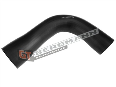 GT BERGMANN GT52-533 EAN: 5907764524986.