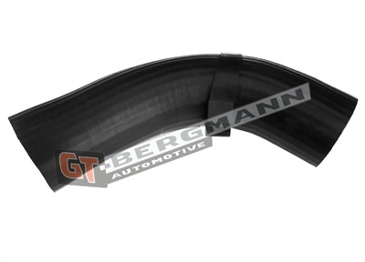 GT BERGMANN GT52-545 EAN: 5907764525105.