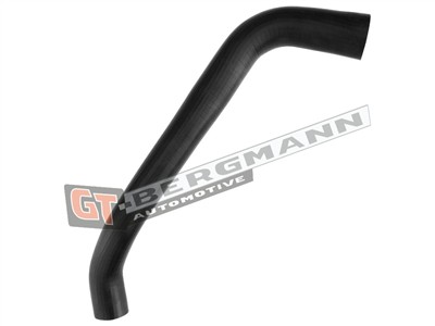 GT BERGMANN GT52-548 EAN: 5907764525136.