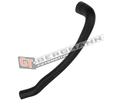 GT BERGMANN GT52-551 EAN: 5907764525167.