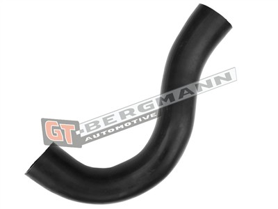 GT BERGMANN GT52-552 EAN: 5907764525174.