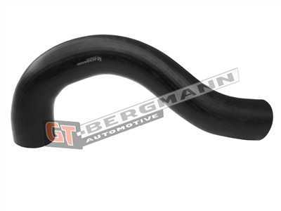 GT BERGMANN GT52-552 EAN: 5907764525174.