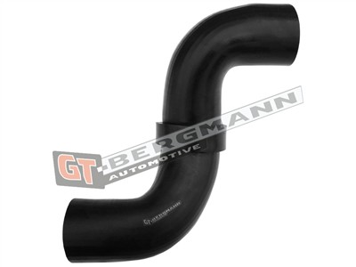 GT BERGMANN GT52-565 EAN: 5907764525501.