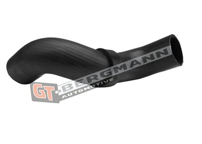 GT BERGMANN GT52-565 EAN: 5907764525501.
