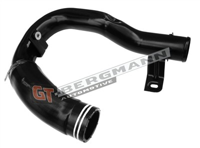 GT BERGMANN GT52-581 EAN: 5907764526096.
